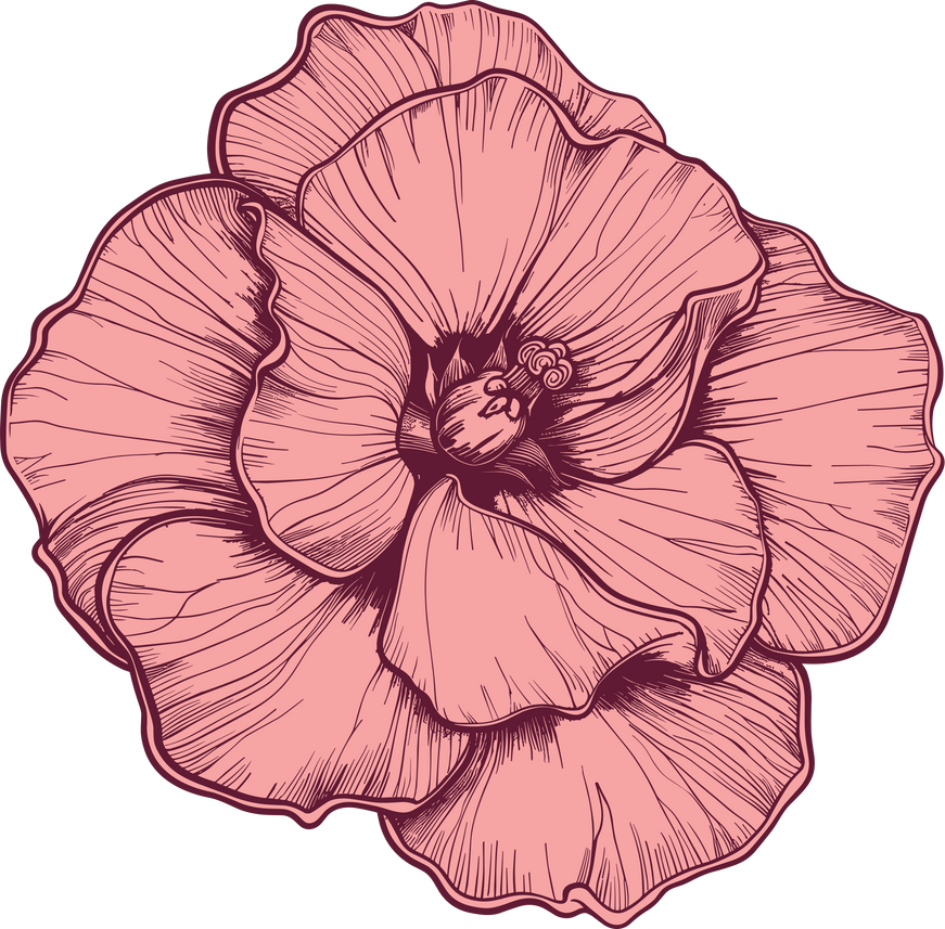 Desert rose clipart design illustration