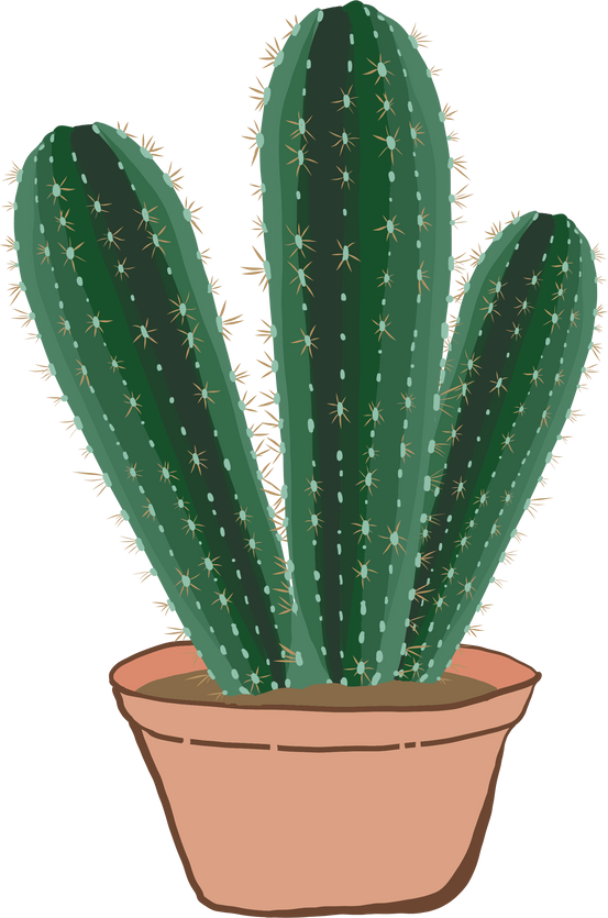 Potted Cactus Illustration